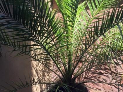 照片: Insel Rhodos